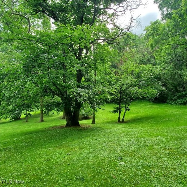 19693 Dudley Rd, Caldwell, OH 43724 - view of green lawn