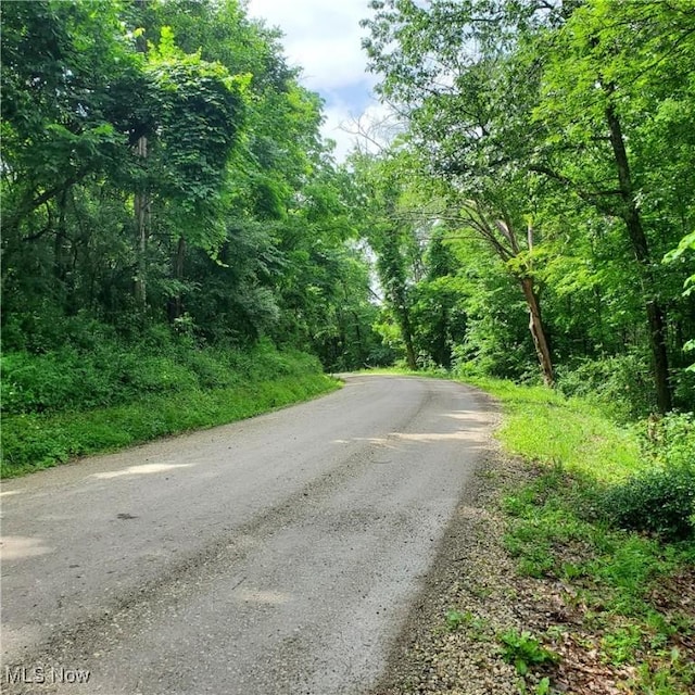 19693 Dudley Rd, Caldwell, OH 43724 - view of road with a view of trees
