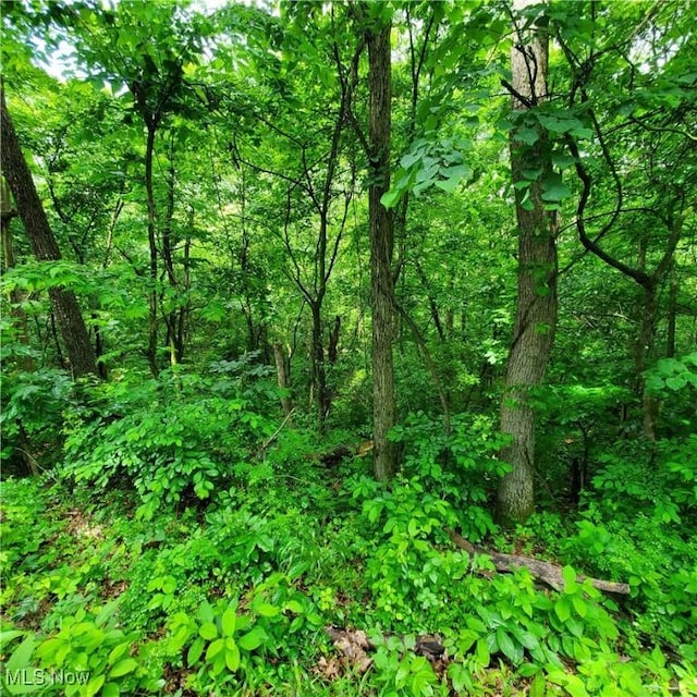 19693 Dudley Rd, Caldwell, OH 43724 - view of woods