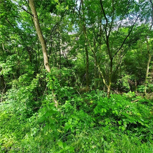 19693 Dudley Rd, Caldwell, OH 43724 - view of woods