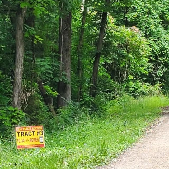 19693 Dudley Rd, Caldwell, OH 43724 - view of nature