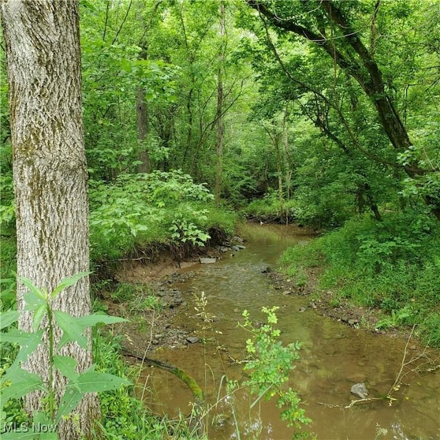 19693 Dudley Rd, Caldwell, OH 43724 - view of undeveloped land