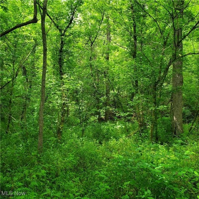 19693 Dudley Rd, Caldwell, OH 43724 - view of tree filled area