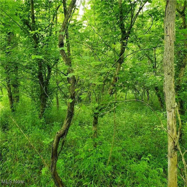 19693 Dudley Rd, Caldwell, OH 43724 - view of undeveloped land