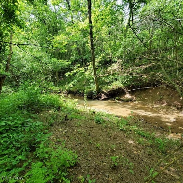 19693 Dudley Rd, Caldwell, OH 43724 - view of woods