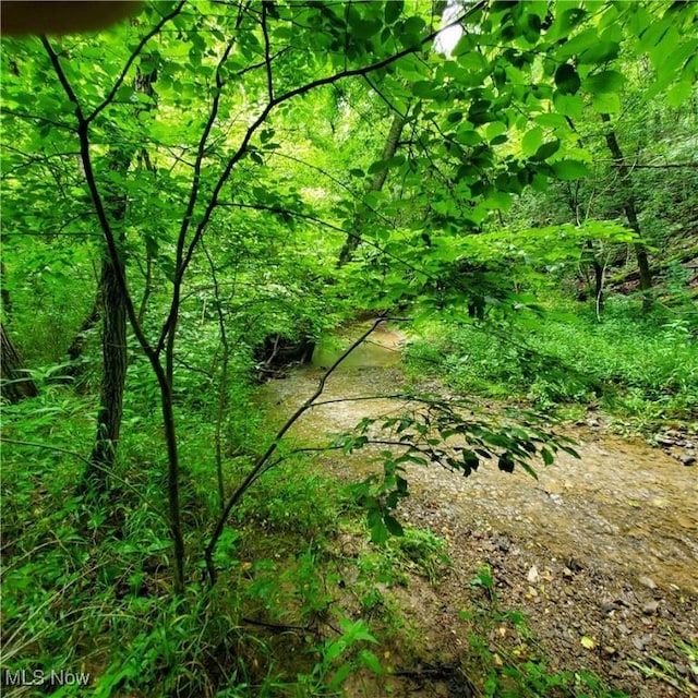 19693 Dudley Rd, Caldwell, OH 43724 - view of undeveloped land