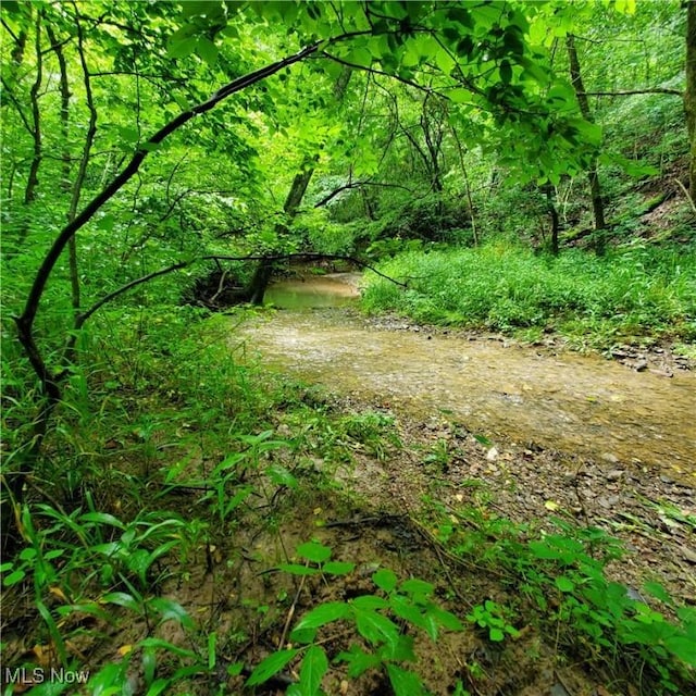 19693 Dudley Rd, Caldwell, OH 43724 - view of tree filled area