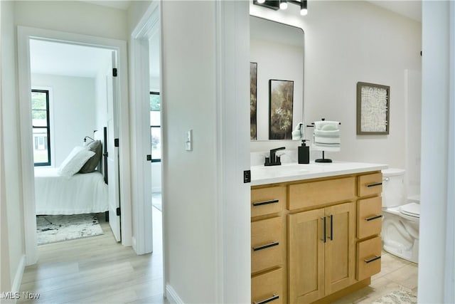 2320 Wilshire Dr, Cortland, OH 44410 - bathroom featuring vanity, wood finished floors, and ensuite bathroom