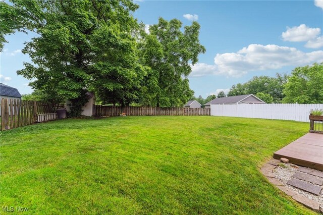 243 Simon Ln, Medina, OH 44256 - photo 33