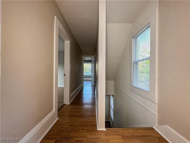 101 Ridgeway St, Struthers, OH 44471 - hallway with healthy amount of natural light, wood finished floors, and a textured ceiling
