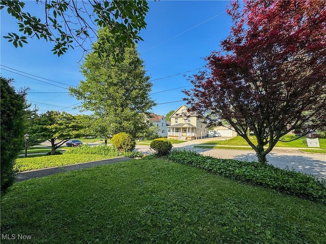 101 Ridgeway St, Struthers, OH 44471 - view of green lawn