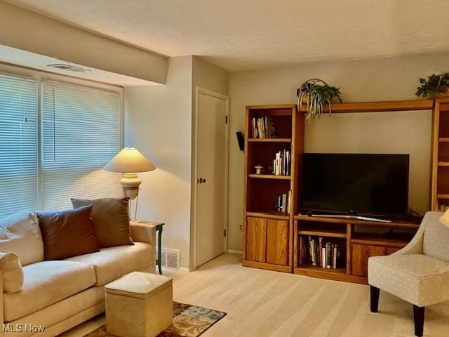 625 Canterbury Ln Unit 27A, Medina, OH 44256 - living area with carpet and baseboards