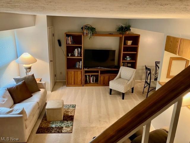 625 Canterbury Ln Unit 27A, Medina, OH 44256 - living area featuring carpet floors