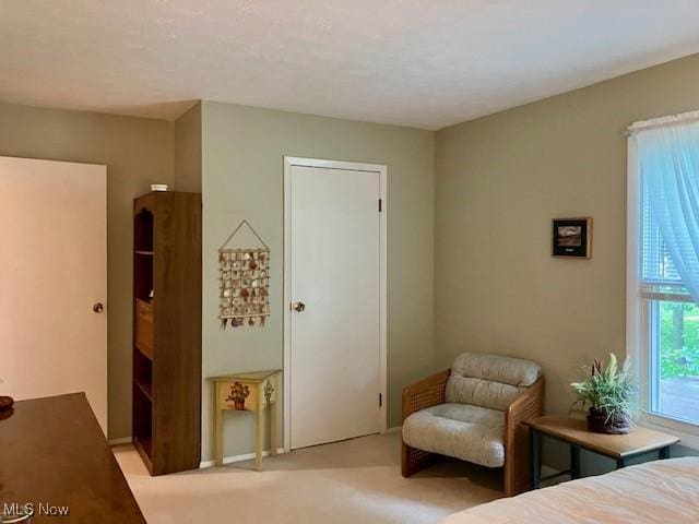 625 Canterbury Ln Unit 27A, Medina, OH 44256 - bedroom featuring light carpet