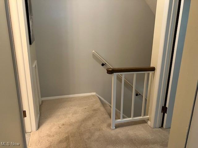 625 Canterbury Ln Unit 27A, Medina, OH 44256 - stairway featuring carpet flooring and baseboards