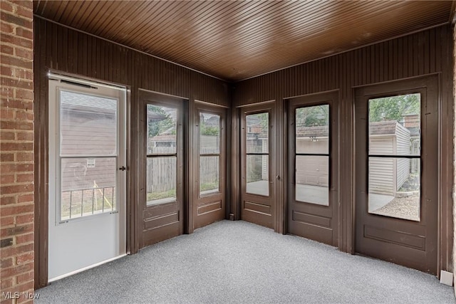 3886 Faversham Rd, University Heights, OH 44118 - unfurnished sunroom featuring carpet and wood walls