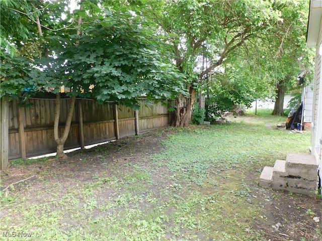 462 Monroe St, Conneaut, OH 44030 - view of yard