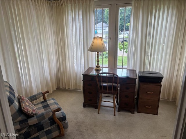 1051 Oakwood Ave NE, Massillon, OH 44646 - office featuring light colored carpet