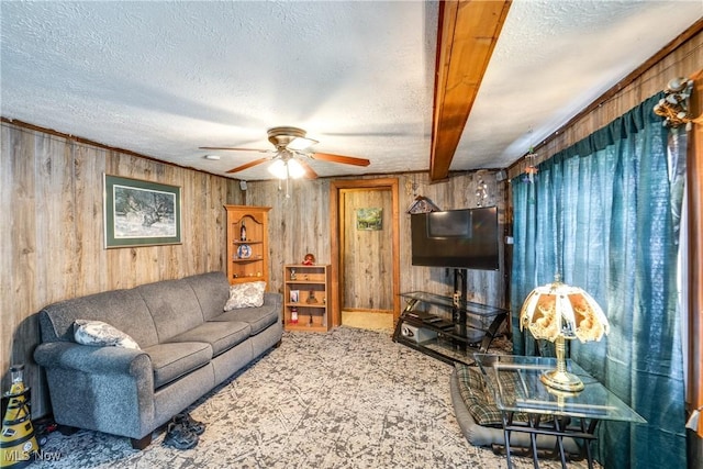 27901 State Route 30, Kensington, OH 44427 - living room with wooden walls, a textured ceiling, and a ceiling fan