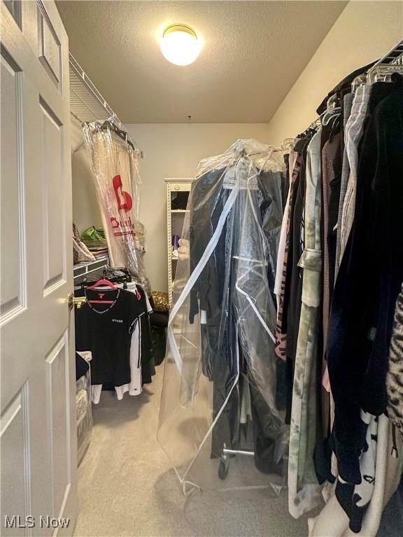 203 Willow Brook Dr NE, Warren, OH 44483 - walk in closet with carpet flooring