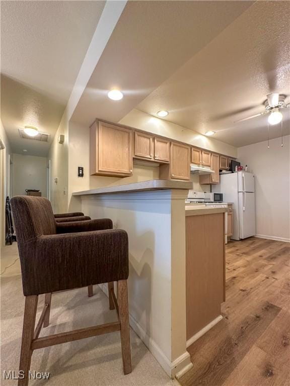 203 Willow Brook Dr NE, Warren, OH 44483 - kitchen with freestanding refrigerator, under cabinet range hood, recessed lighting, ceiling fan, and a peninsula