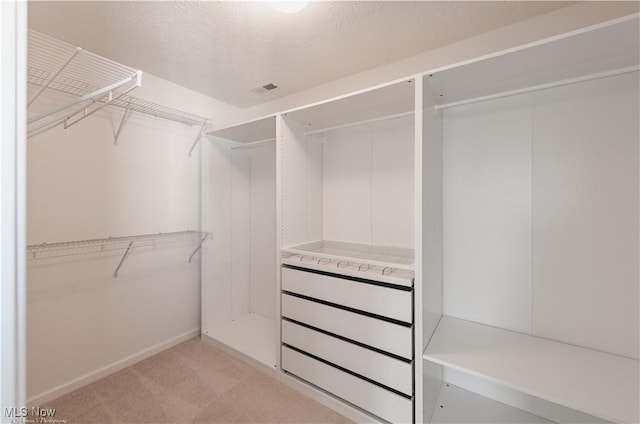 3478 Shadow Ledge Dr, Twinsburg, OH 44087 - walk in closet with light carpet