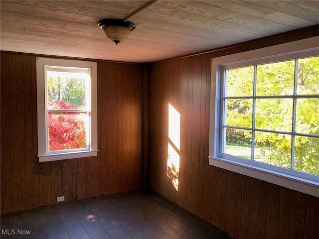 9117 N Main St, Windham, OH 44288 - empty room with wooden ceiling, dark wood-style flooring, and wooden walls