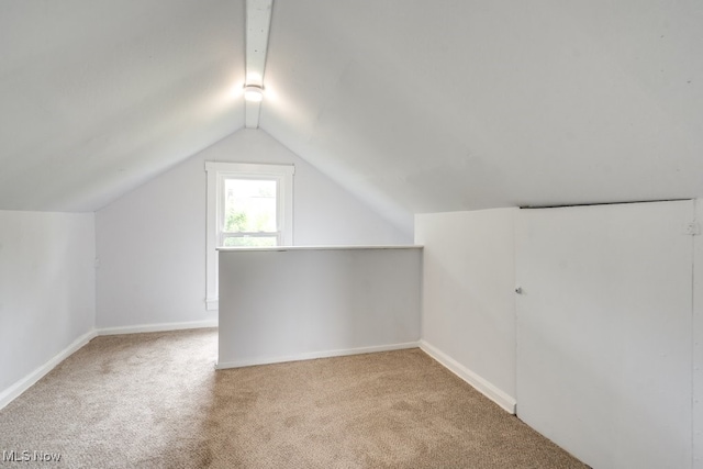 1617 Royal Ave NE, Canton, OH 44705 - additional living space with carpet floors and vaulted ceiling