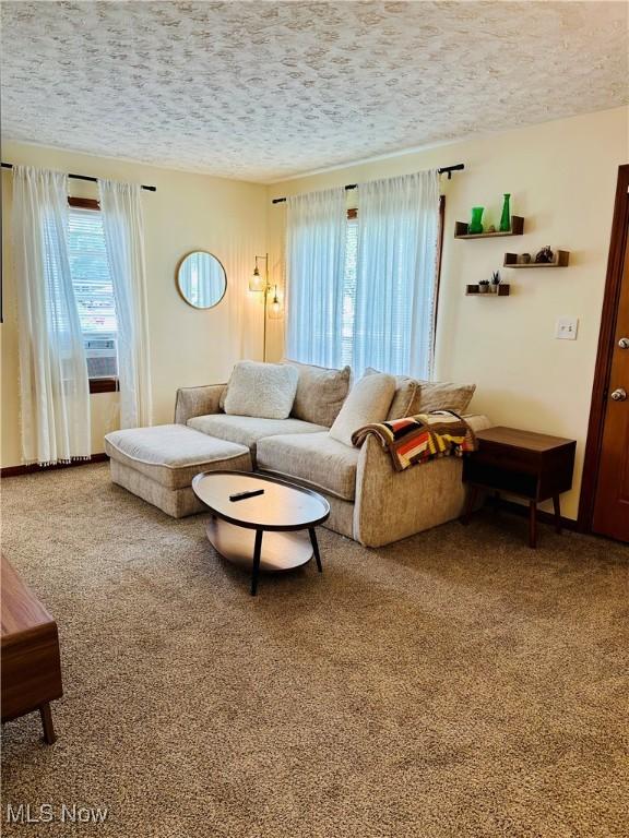 788 E Archwood Ave, Akron, OH 44306 - carpeted living room featuring healthy amount of natural light and a textured ceiling