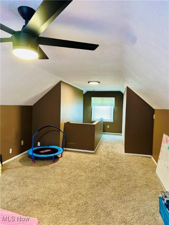 788 E Archwood Ave, Akron, OH 44306 - additional living space featuring ceiling fan, vaulted ceiling, and carpet