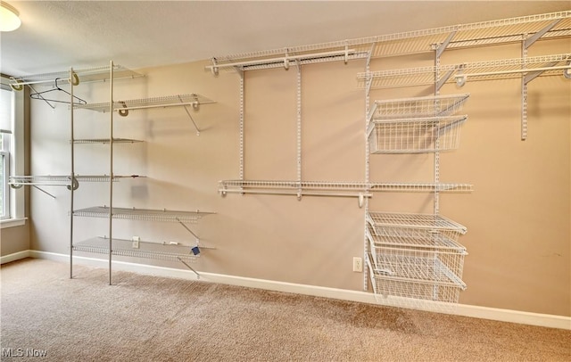 85551 Beagle Club Rd, Scio, OH 43988 - spacious closet with carpet floors