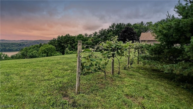85551 Beagle Club Rd, Scio, OH 43988 - yard at dusk featuring a lawn