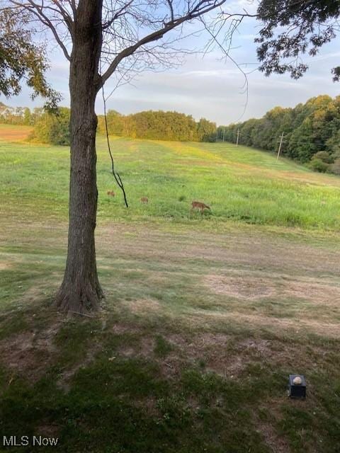 11095 Jan Cir NW, Uniontown, OH 44685 - view of yard with a forest view