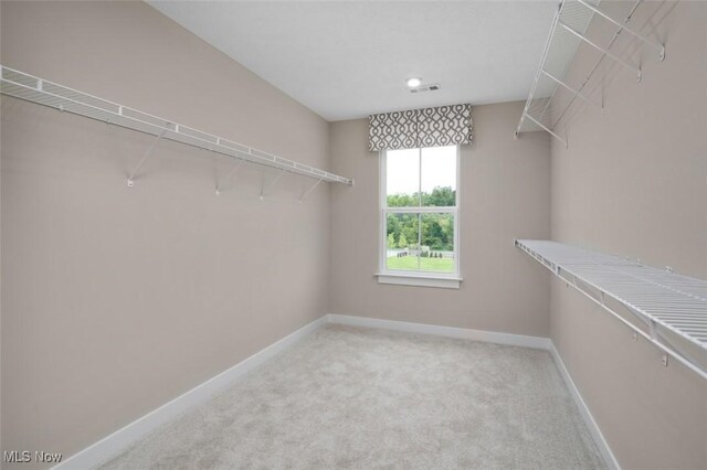 S/L240 Delmonte Way, Painesville, OH 44077 - photo 19