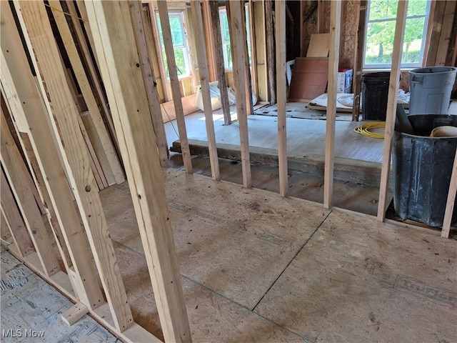 7810 Avon Lake Rd, Lodi, OH 44254 - view of misc room