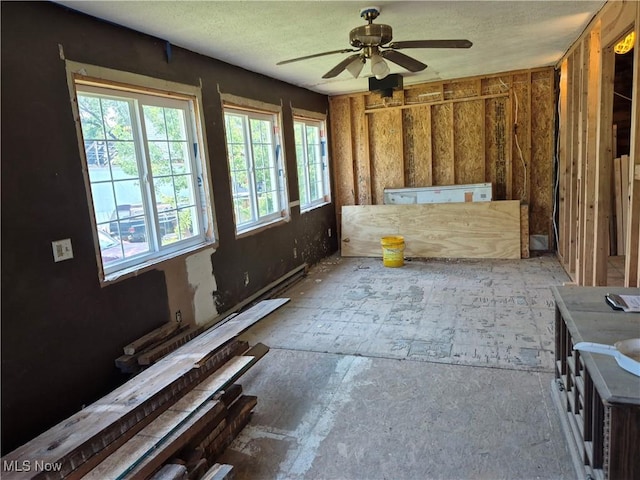 7810 Avon Lake Rd, Lodi, OH 44254 - misc room featuring a ceiling fan and a textured ceiling