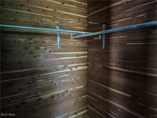 7810 Avon Lake Rd, Lodi, OH 44254 - view of closet