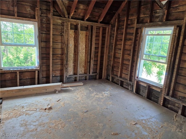 7810 Avon Lake Rd, Lodi, OH 44254 - miscellaneous room with lofted ceiling