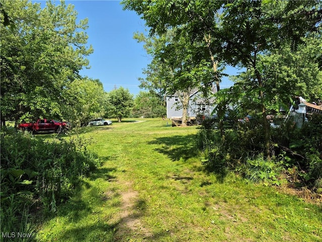 7810 Avon Lake Rd, Lodi, OH 44254 - view of green lawn