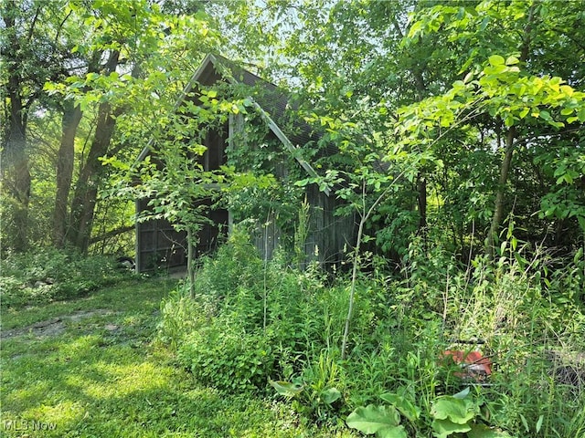 7810 Avon Lake Rd, Lodi, OH 44254 - view of local wilderness
