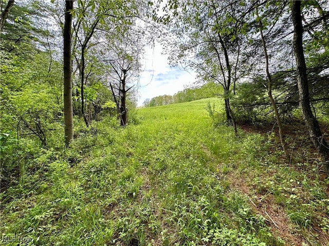 4101 Peace Rd SE, Carrollton, OH 44615