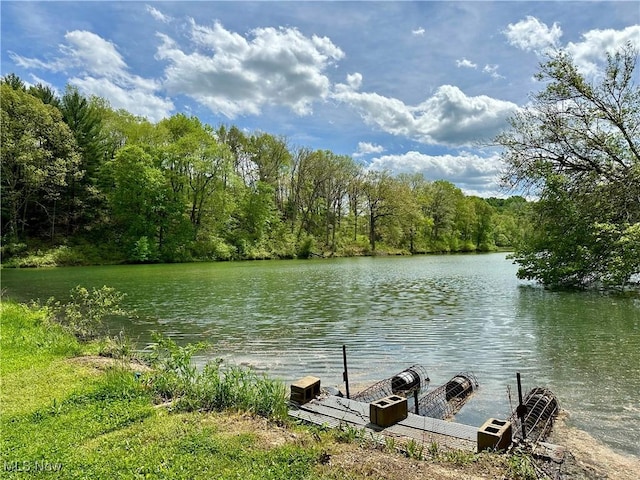 4101 Peace Rd SE, Carrollton, OH 44615