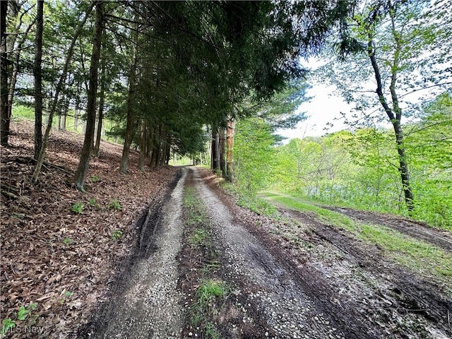 4101 Peace Rd SE, Carrollton, OH 44615