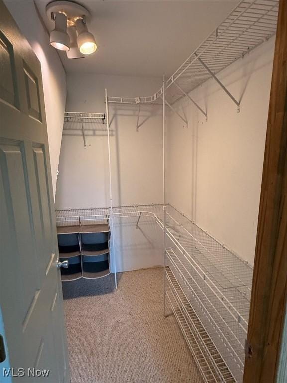 2484 Township Road 262, Bergholz, OH 43908 - spacious closet featuring carpet floors