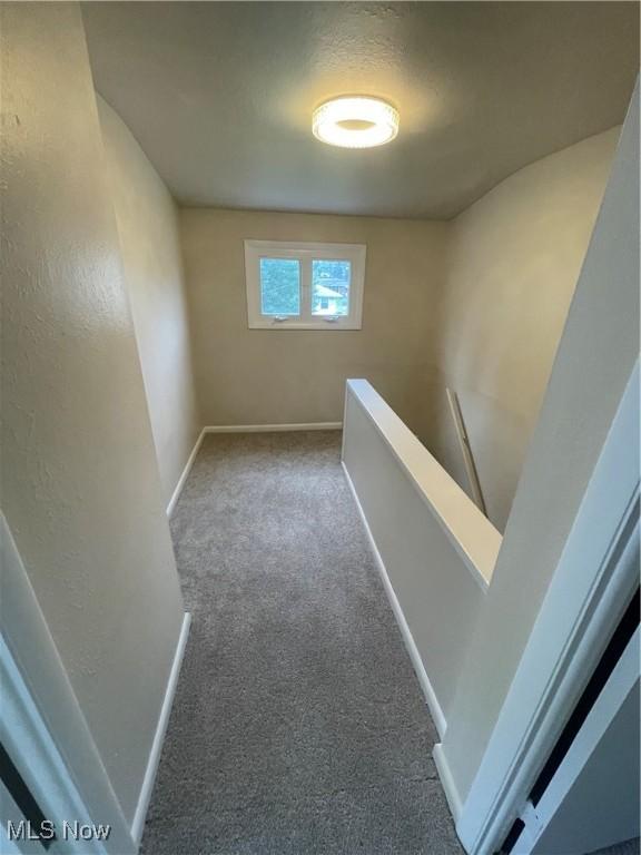 12210 Woodward Blvd, Cleveland, OH 44125 - photo 20