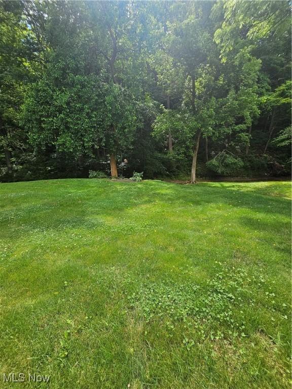 3925 N Wedgewood Dr, Mcconnelsville, OH 43756 - view of green lawn
