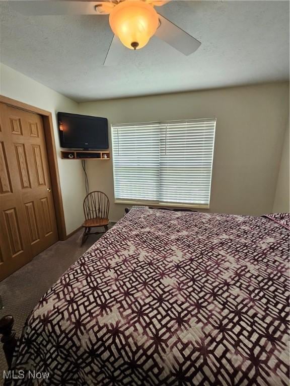 3925 N Wedgewood Dr, Mcconnelsville, OH 43756 - bedroom featuring carpet flooring and a ceiling fan
