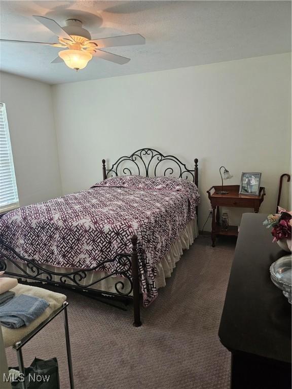 3925 N Wedgewood Dr, Mcconnelsville, OH 43756 - bedroom with carpet and ceiling fan