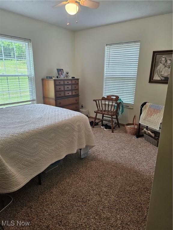 3925 N Wedgewood Dr, Mcconnelsville, OH 43756 - bedroom with carpet floors and ceiling fan