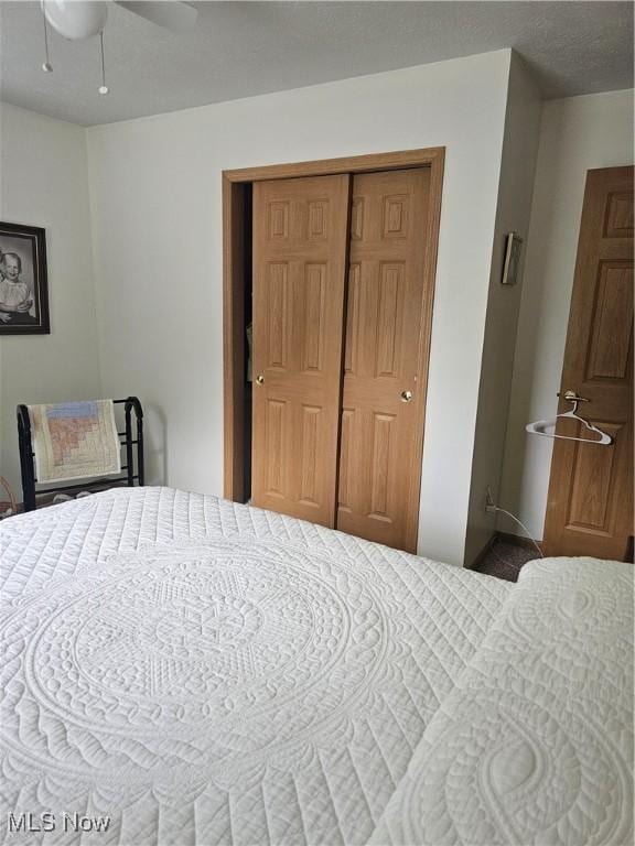 3925 N Wedgewood Dr, Mcconnelsville, OH 43756 - bedroom with a closet and a ceiling fan